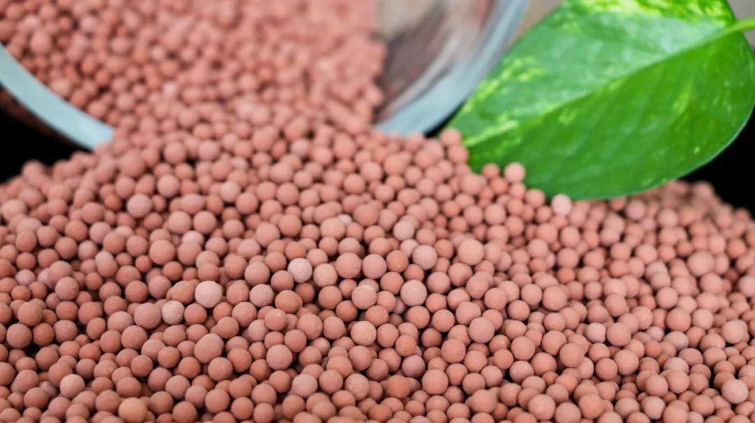 a7546b2d04f444818d615666b6a838e7_noop.jpg a7546b2d04f444818d615666b6a838e7_noop.jpg